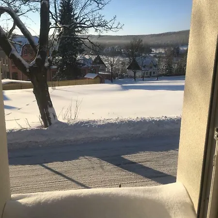 Viola 3* Kovářská