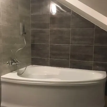 Pensjonat Viola Kovářská